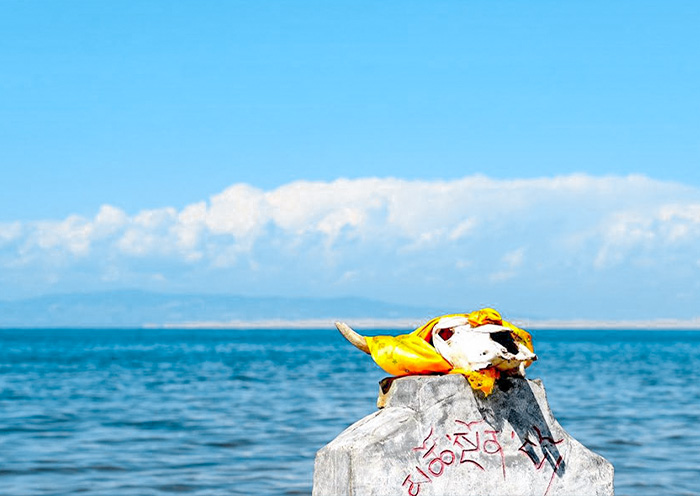 青海湖