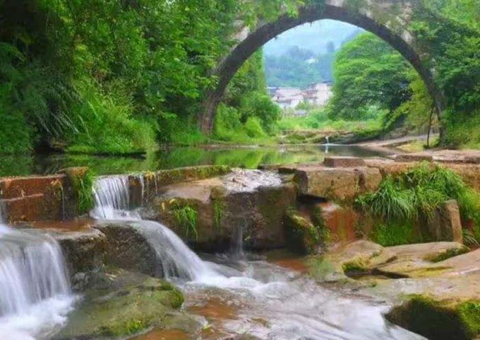 2 días y 1 noche    Ser voluntario de Panda en Bifengxia