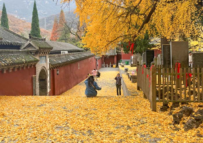2026河南旅游最佳季节攻略：一年四季怎么玩？各城市景点出行时间避坑全指南