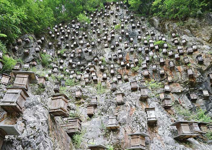 神农架官门山悬崖蜂箱
