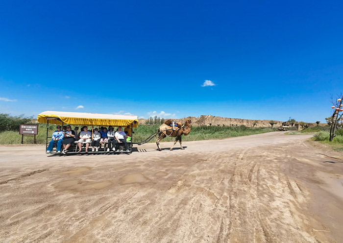 银川水洞沟遗址骆驼车