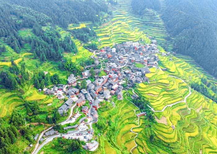 贵州堂安侗寨梯田风光