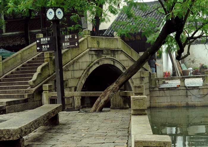 Excursión de un día desde Shanghai a conocer el jardín de Suzhou y el pueblo Tongli