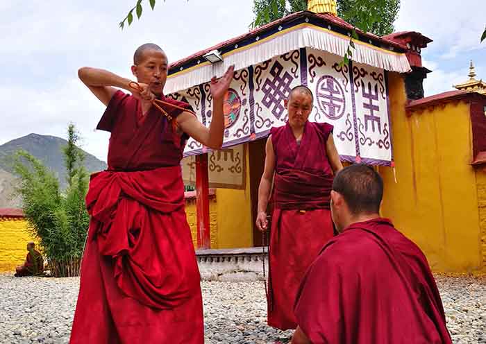 Day3-  Lamas usually have debates in the special debating field from 3 p.m.
