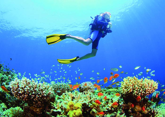 三亚西岛迷人的水下世界