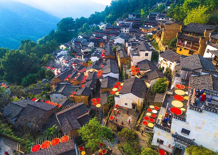 婺源“晒秋”盛景