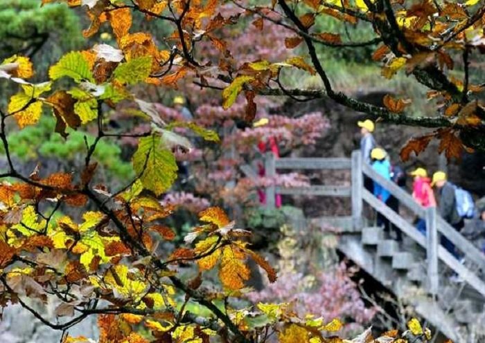 Day 6 - The West Sea Grand Canyon is a paradise for hiking.
