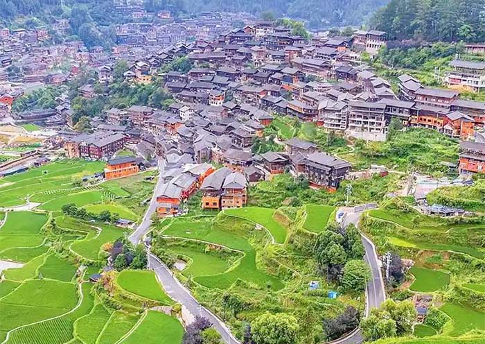 西江千户苗寨稻田风光