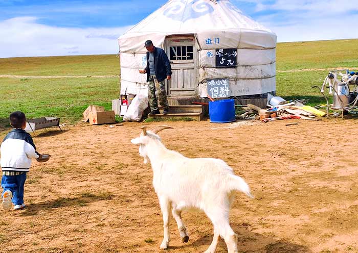 希拉穆仁草原牧民家庭