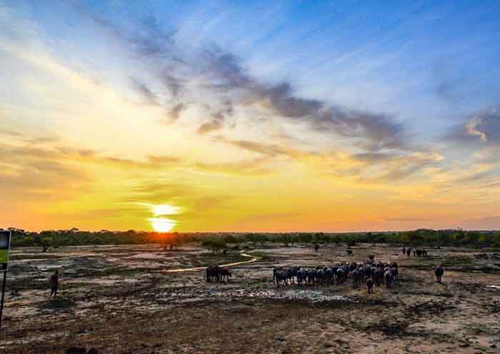 8 días y 7 noches    Viaje de ensueño a Sri Lanka(图文)