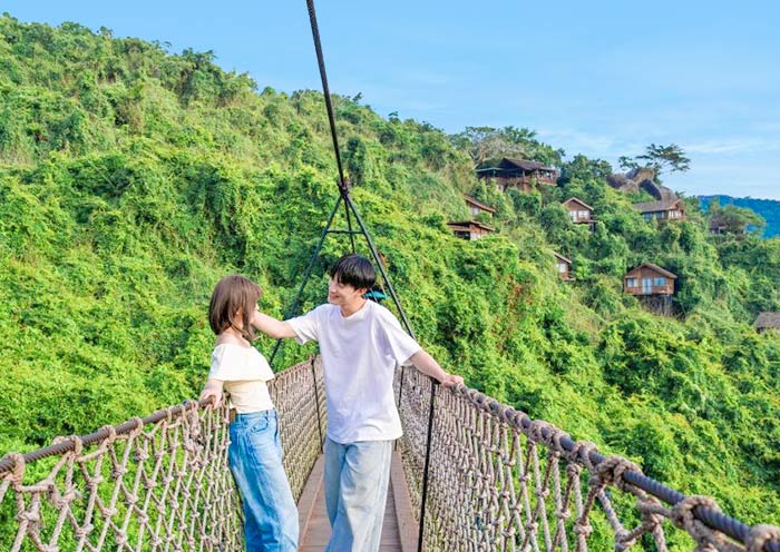 亚龙湾森林公园过江龙索桥