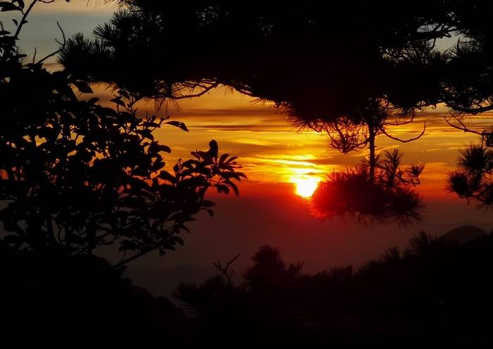 Day 7 - Sunrise is one of the most magnificent scenery in Huangshan
